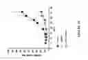 Fig. 38 - NOVEL ANTI-cMET ANTIBODY