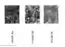 Fig. 40 - NOVEL ANTI-cMET ANTIBODY