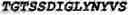 Fig. 11 - Human CD30 ligand antigen binding proteins