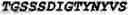 Fig. 14 - Human CD30 ligand antigen binding proteins