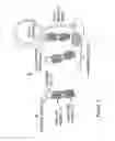 Fig. 04 - Immunotherapeutic molecules and uses