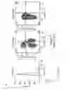 Fig. 09 - Immunotherapeutic molecules and uses