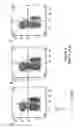 Fig. 12 - Immunotherapeutic molecules and uses