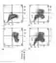 Fig. 15 - Immunotherapeutic molecules and uses
