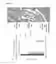 Fig. 09 - Method for producing monoclonal IgA antibody