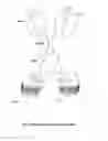 Fig. 02 - Modified antibody