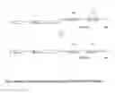 Fig. 12 - Modified antibody
