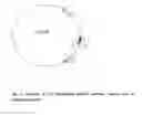 Fig. 14 - Modified antibody