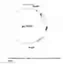 Fig. 16 - Modified antibody