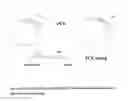 Fig. 17 - Modified antibody