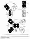 Fig. 01 - Methods for producing fabs and bi-specific antibodies