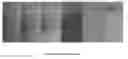 Fig. 01 - Allyl ether sulfate polymerizable surfactants and methods for use