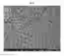Fig. 10 - MONODISPERSE MICROSPHERES AND METHOD OF PREPARING SAME