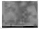 Fig. 01 - WELL DEFINED, HIGHLY CROSSLINKED NANOPARTICLES AND METHOD FOR MAKING SAME