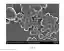 Fig. 07 - WELL DEFINED, HIGHLY CROSSLINKED NANOPARTICLES AND METHOD FOR MAKING SAME