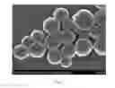 Fig. 08 - WELL DEFINED, HIGHLY CROSSLINKED NANOPARTICLES AND METHOD FOR MAKING SAME