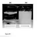 Fig. 10 - Method and apparatus for surface chemical functionalization of powders and nanoparticles