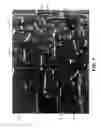 Fig. 02 - Expandable TFE copolymers, method of making, porous, expanded article thereof