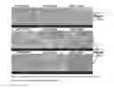 Fig. 06 - Method for the preparation of PLA bead foams