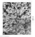 Fig. 06 - Methods and systems for synthesis of an ultra high molecular weight polymer