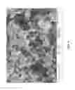 Fig. 08 - Methods and systems for synthesis of an ultra high molecular weight polymer