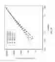 Fig. 17 - Methods and systems for synthesis of an ultra high molecular weight polymer