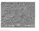 Fig. 01 - Bioabsorbable polymeric compositions, processing methods, and medical devices therefrom