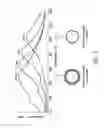 Fig. 05 - Dynamic surfaces
