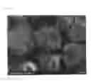 Fig. 05 - Nitride phosphor and method for producing the same