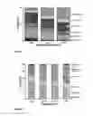 Fig. 05 - Method for the degrading of synthetic polymers and device for carrying out said method