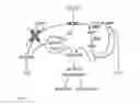Fig. 03 - Genetically Modified Bacteria