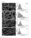 Fig. 02 - NANOFIBERS