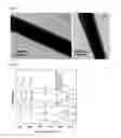 Fig. 03 - NANOFIBERS