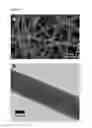 Fig. 07 - NANOFIBERS