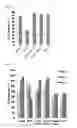 Fig. 13 - NANOFIBERS