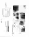 Fig. 03 - Cell sorting method