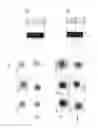 Fig. 13 - Cell sorting method