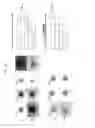 Fig. 15 - Cell sorting method