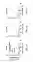 Fig. 02 - Adapted lepidopteran insect cells for the production of recombinant proteins