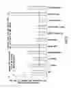 Fig. 08 - Adapted lepidopteran insect cells for the production of recombinant proteins