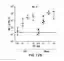 Fig. 13 - Adapted lepidopteran insect cells for the production of recombinant proteins