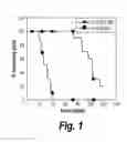 Fig. 02 - CONDITIONALLY IMMORTALIZED LONG-TERM STEM CELLS AND METHODS OF MAKING AND USING SUCH CELLS