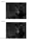 Fig. 13 - THREE-DIMENSIONAL BIOPRINTED PANCREATIC TUMOR MODEL