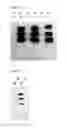 Fig. 03 - Virus like particle comprising modified envelope protein E3