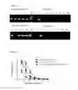 Fig. 08 - Virus like particle comprising modified envelope protein E3