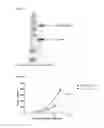 Fig. 11 - Virus like particle comprising modified envelope protein E3