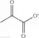 Fig. 06 - Engineered imine reductases and methods for the reductive amination of ketone and amine compounds