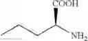 Fig. 07 - Engineered imine reductases and methods for the reductive amination of ketone and amine compounds