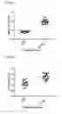 Fig. 05 - CSF1 THERAPEUTICS