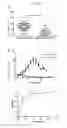 Fig. 15 - CSF1 THERAPEUTICS
